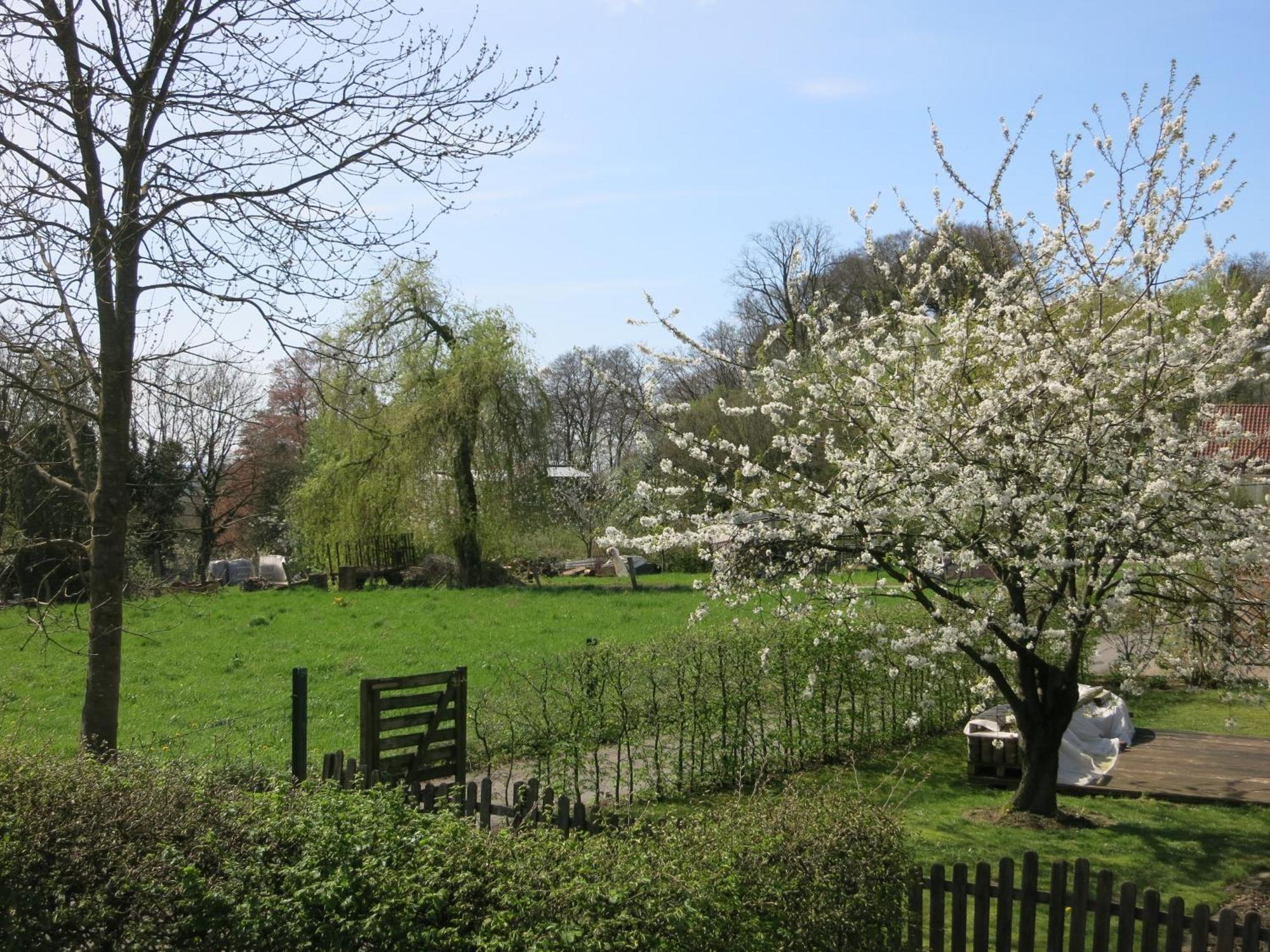 Ferienwohnung Am Teutohang Tecklenburg Luaran gambar